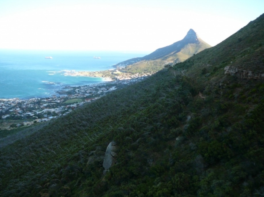 Trip photo #2/28 View back to Lion's Head