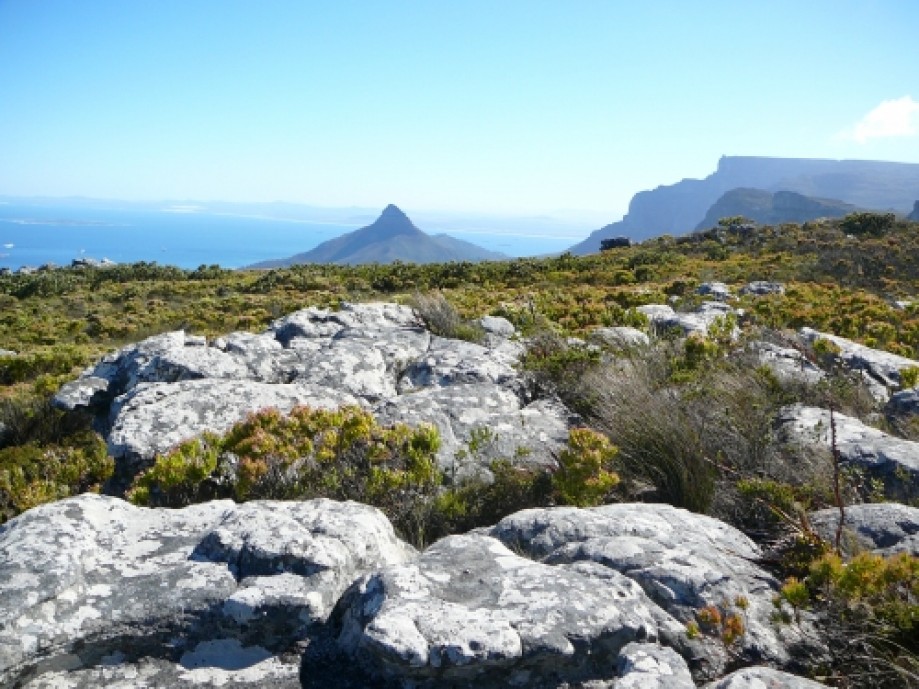 Trip photo #19/32 View across to the Tabletop and Lion's Head.