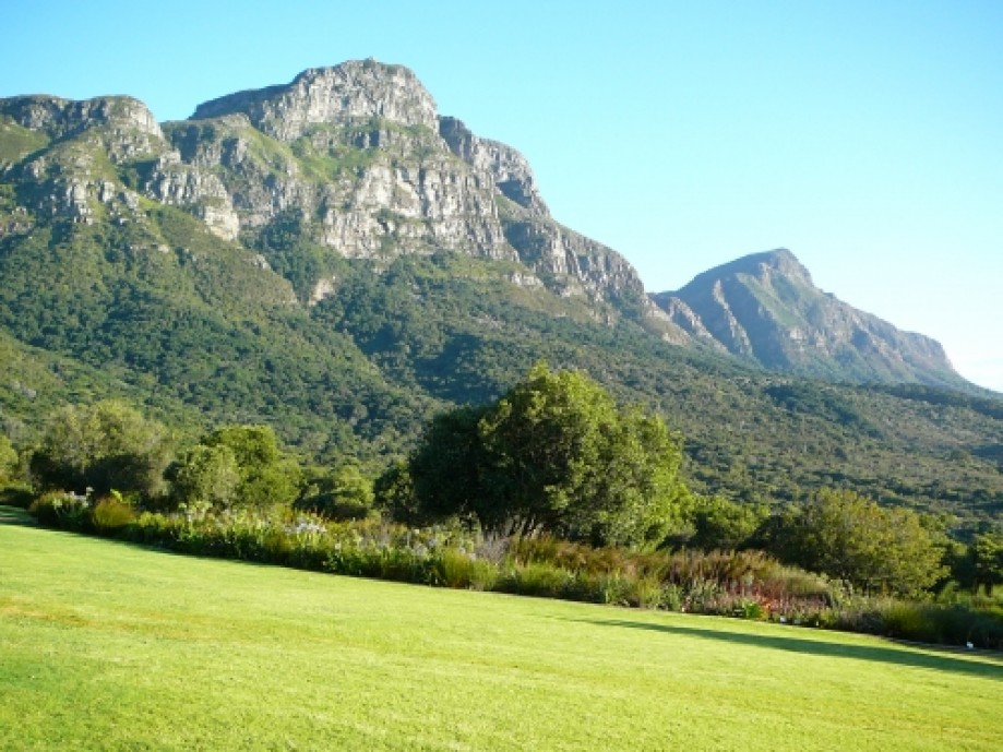 Trip photo #1/16 View of the mountain from Kirstenbosch.