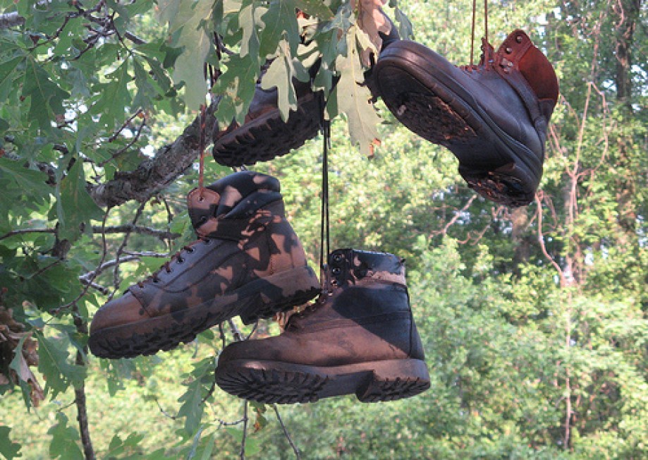Trip photo #6/14 Boots in the trees