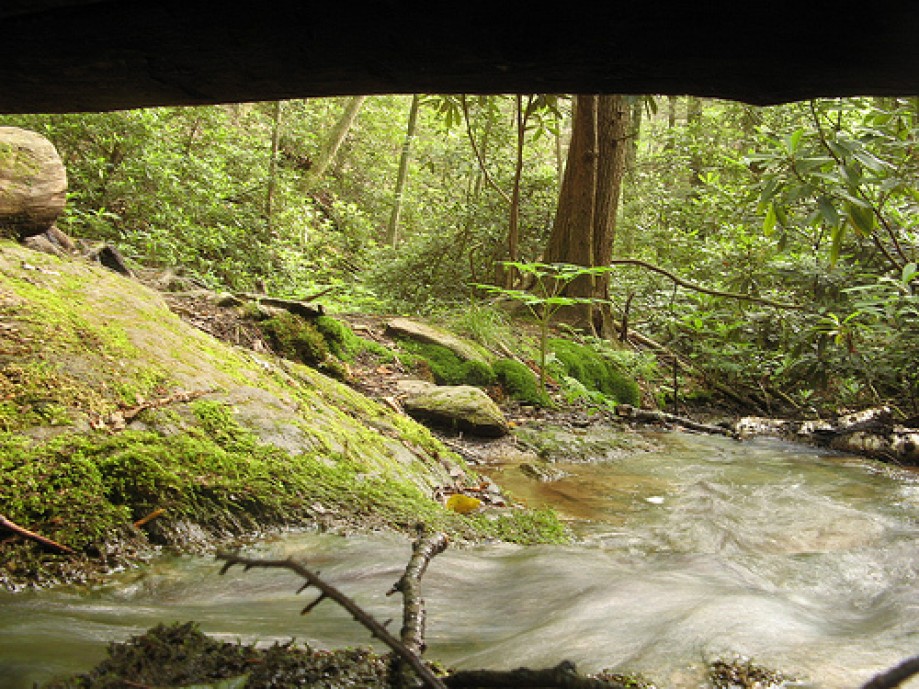 Trip photo #5/13 Creek near Roaring Fork