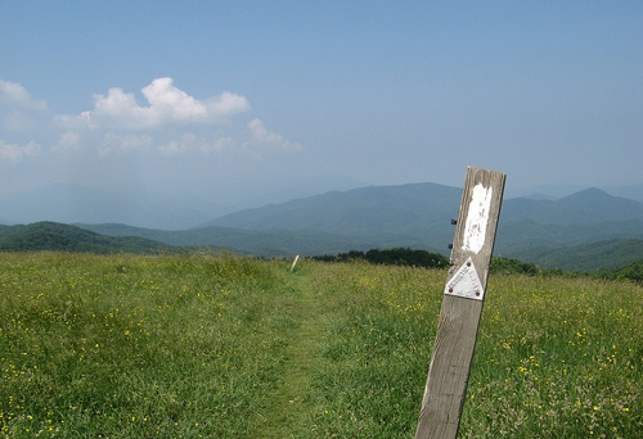 Trip photo #12/13 Max Patch, AT marker
