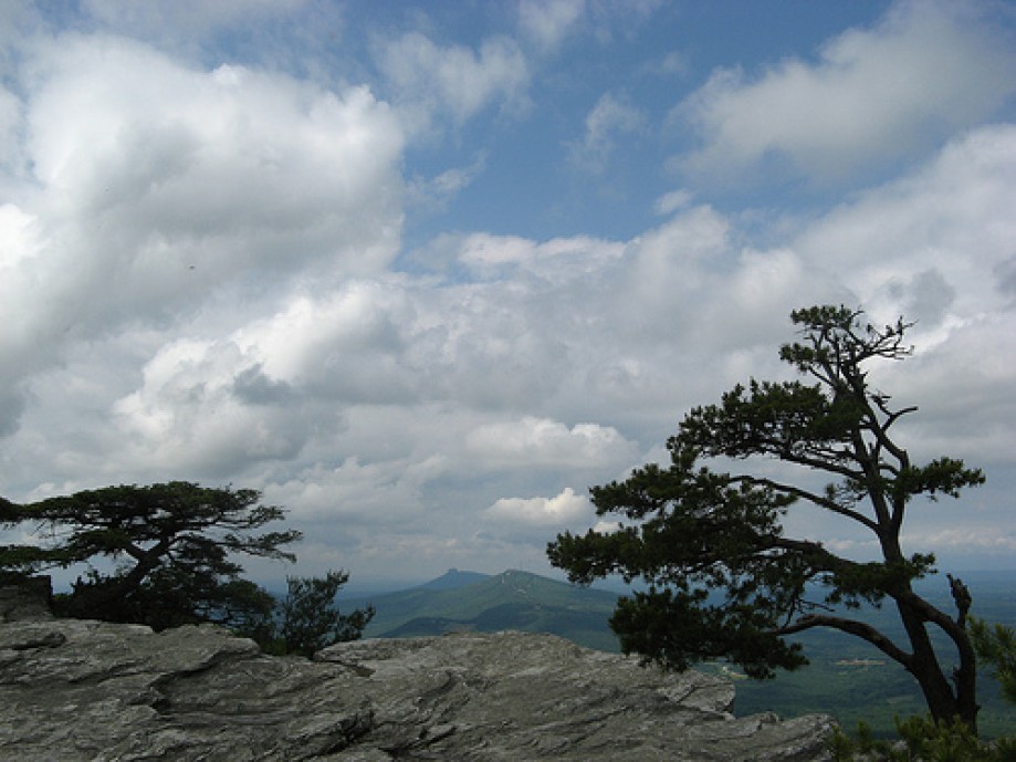Trip photo #7/12 View from Moore's Knob