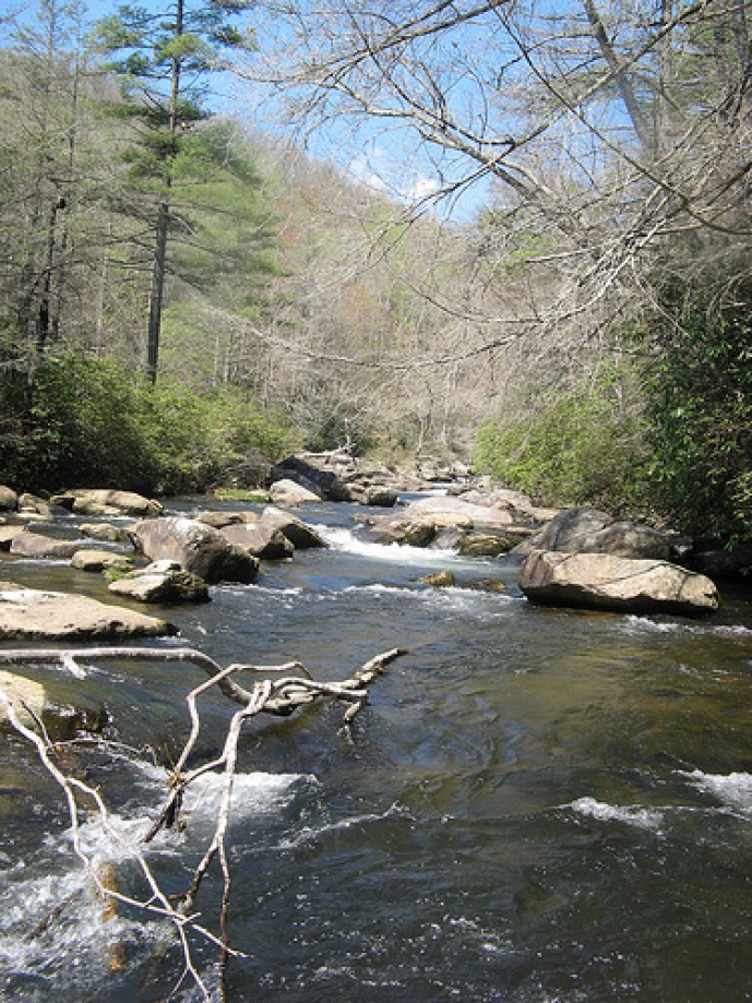 Trip photo #7/12 Another look at Horsepasture River