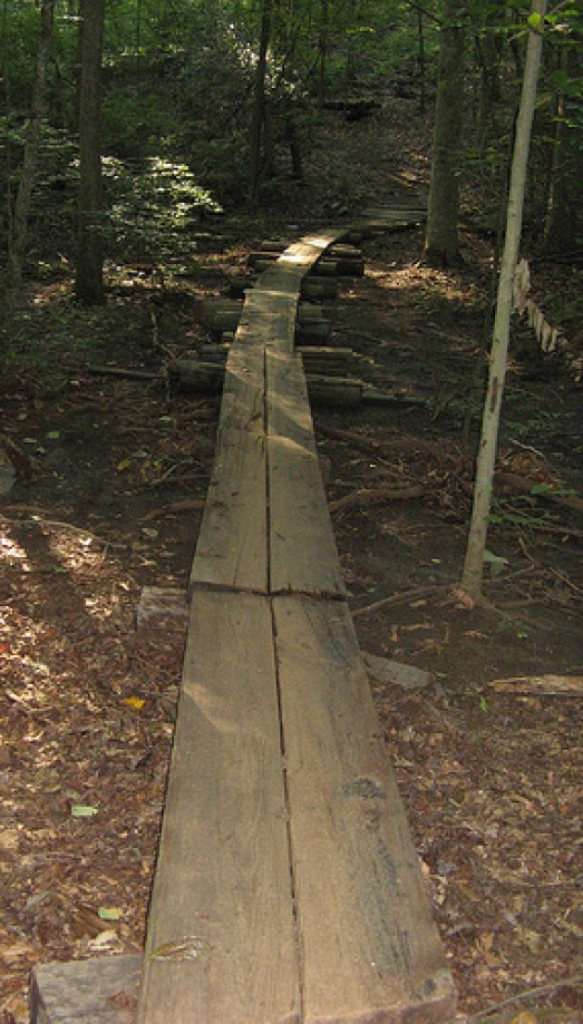 Trip photo #13/15 Planks in the trail