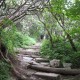 Craggy Pinnacle Trail