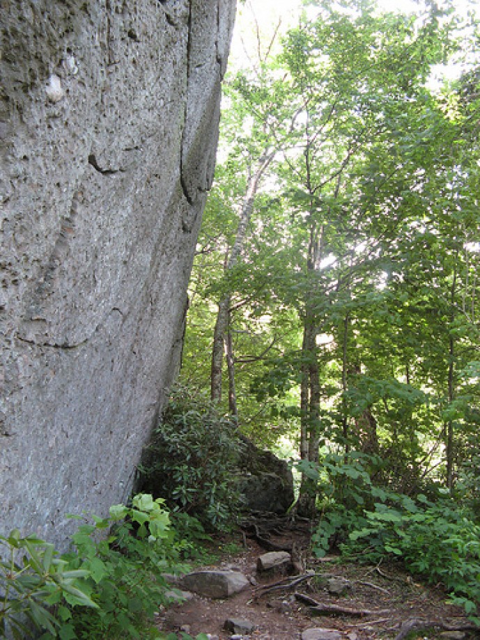Trip photo #2/15 Stone wall on Profile Trail