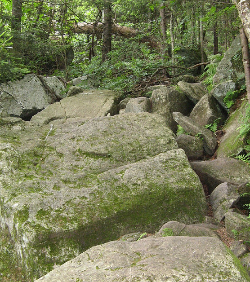 Trip photo #5/15 Boulders in trail