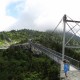 Mile High Swinging Bridge from the Far Side
