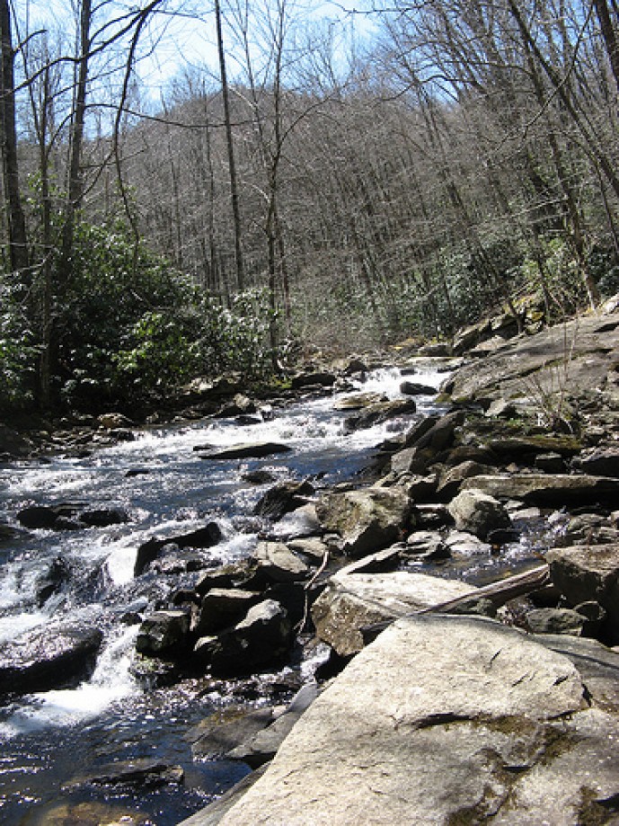 Trip photo #11/13 Another look at Boone Fork