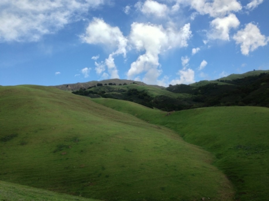 Trip photo #3/3 Lush green hills this time of year