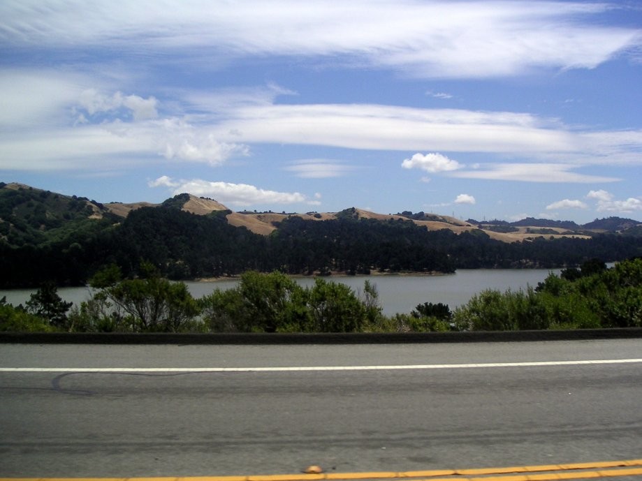 Trip photo #9/15 San Pablo Reservoir