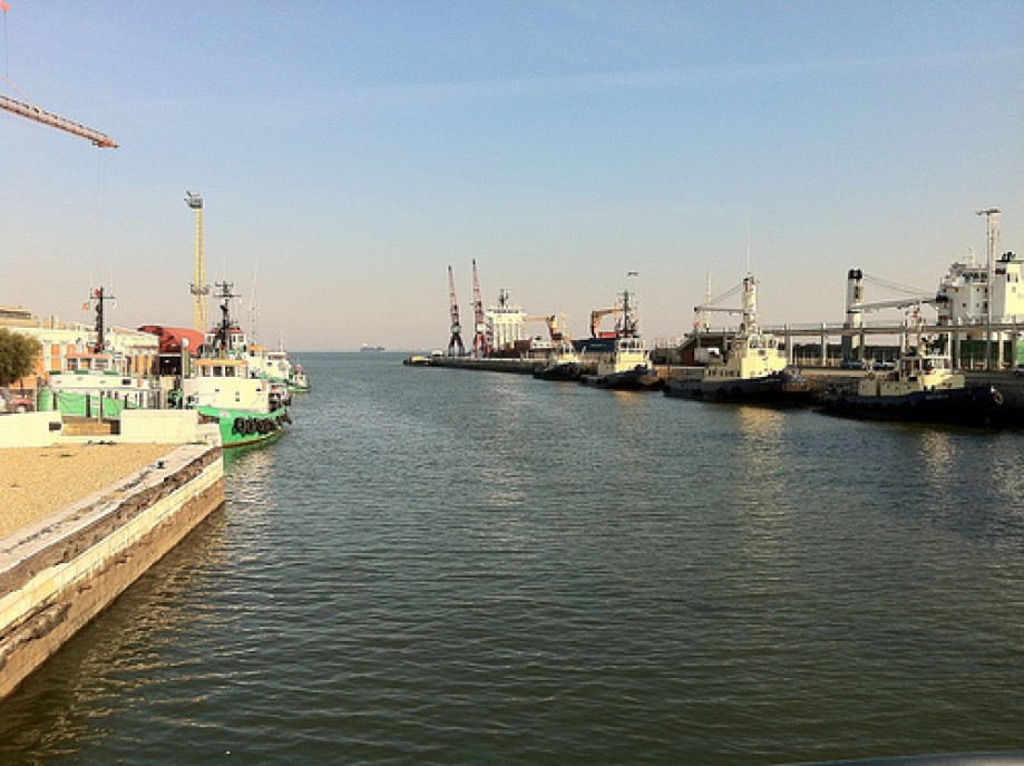 Trip photo #6/20 A collection of tugboats