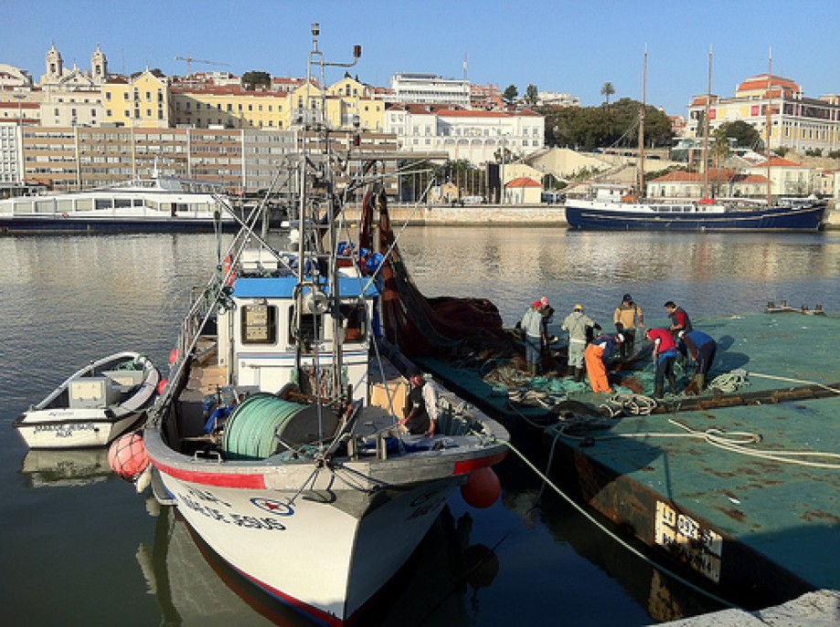 Trip photo #8/20 A fishing boat and fishermen in the Doca de Alcântara