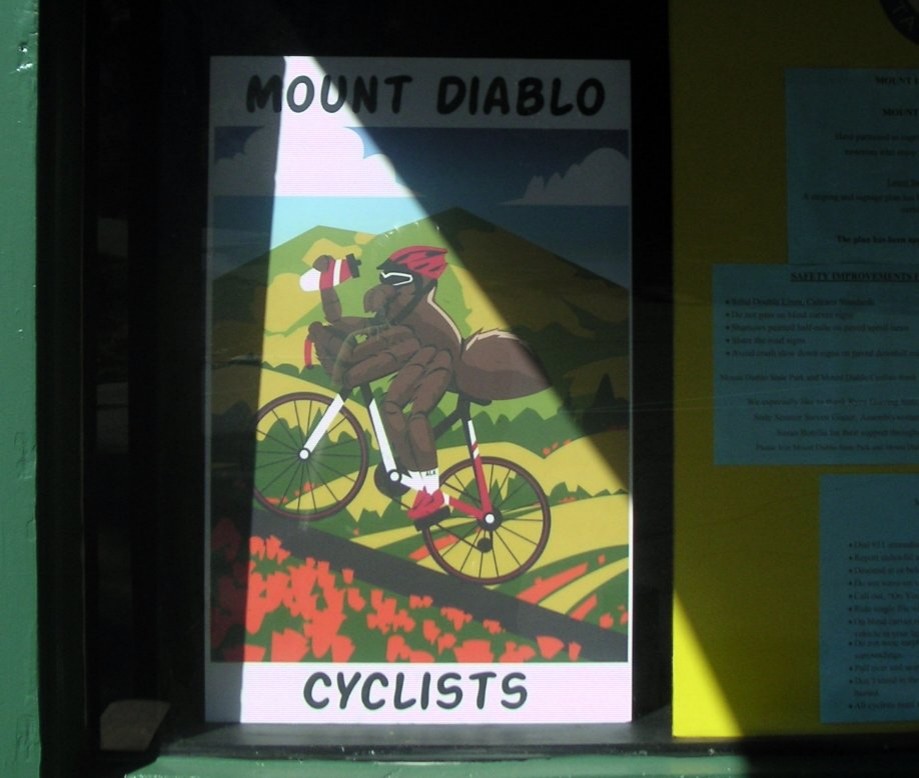 Trip photo #5/14 Tarantula cyclist poster