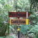 Fork: Caratuva - Pico Parana