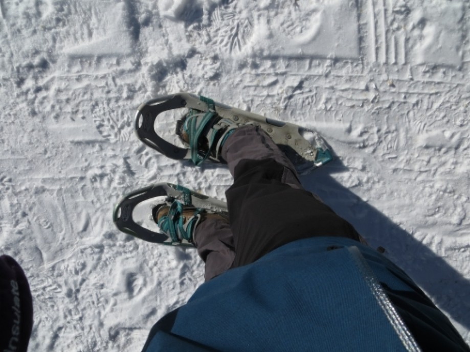 Trip photo #2/13 Snowshoes