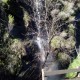 Seasonal waterfall along Lafayette-Moraga trail