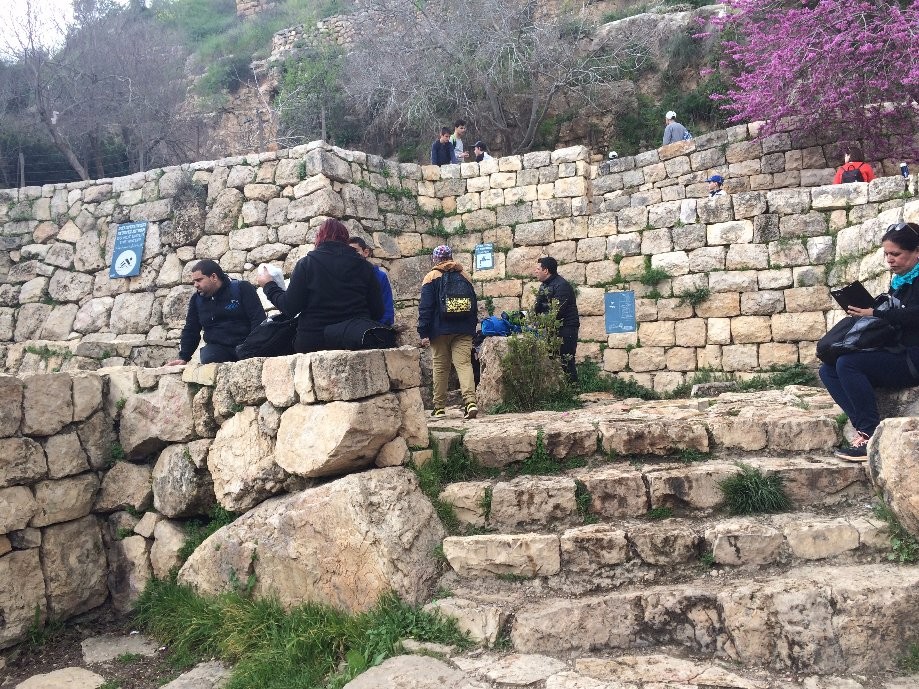 Trip photo #13/55 Экскурсия в Иерусалим ( Высоты неподалеку от Иерусалима)