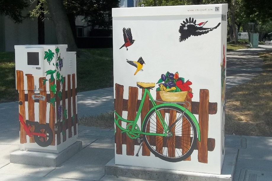 Trip photo #8/8 more painted utility boxes to discourage graffiti