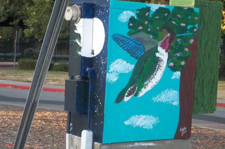 Trip photo #9/11 recently painted utility boxes