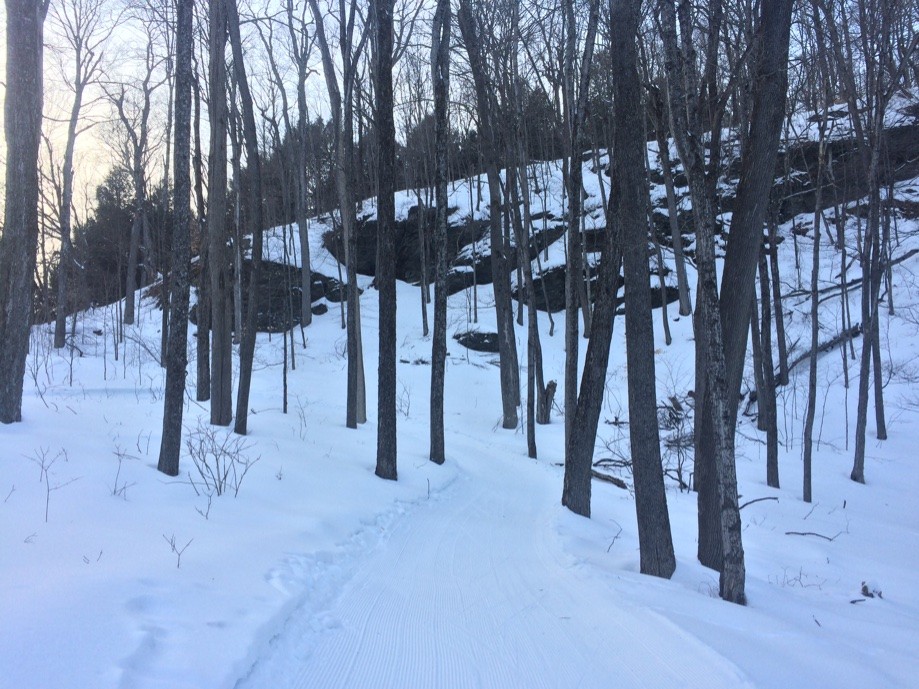 Trip photo #13/13 The West Ridge on the Maple trail. I've skied groomed trails that connect to trails to the north but not groomed this time.